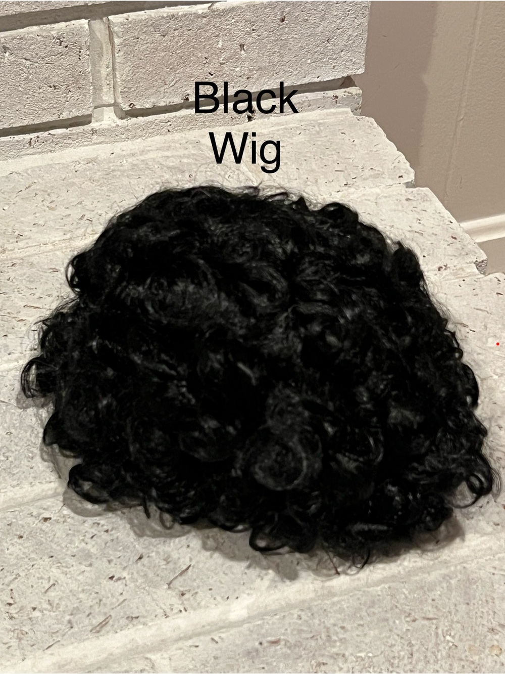 Black Curly Costume Wig
